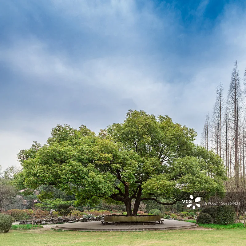 

JX SERVO PDI-HV4416MG 16 кг цифровой сервопривод с металлической шестерней и высоким крутящим моментом для радиоуправляемых автомобилей самолетов БПЛА вертолетов механические рычаги