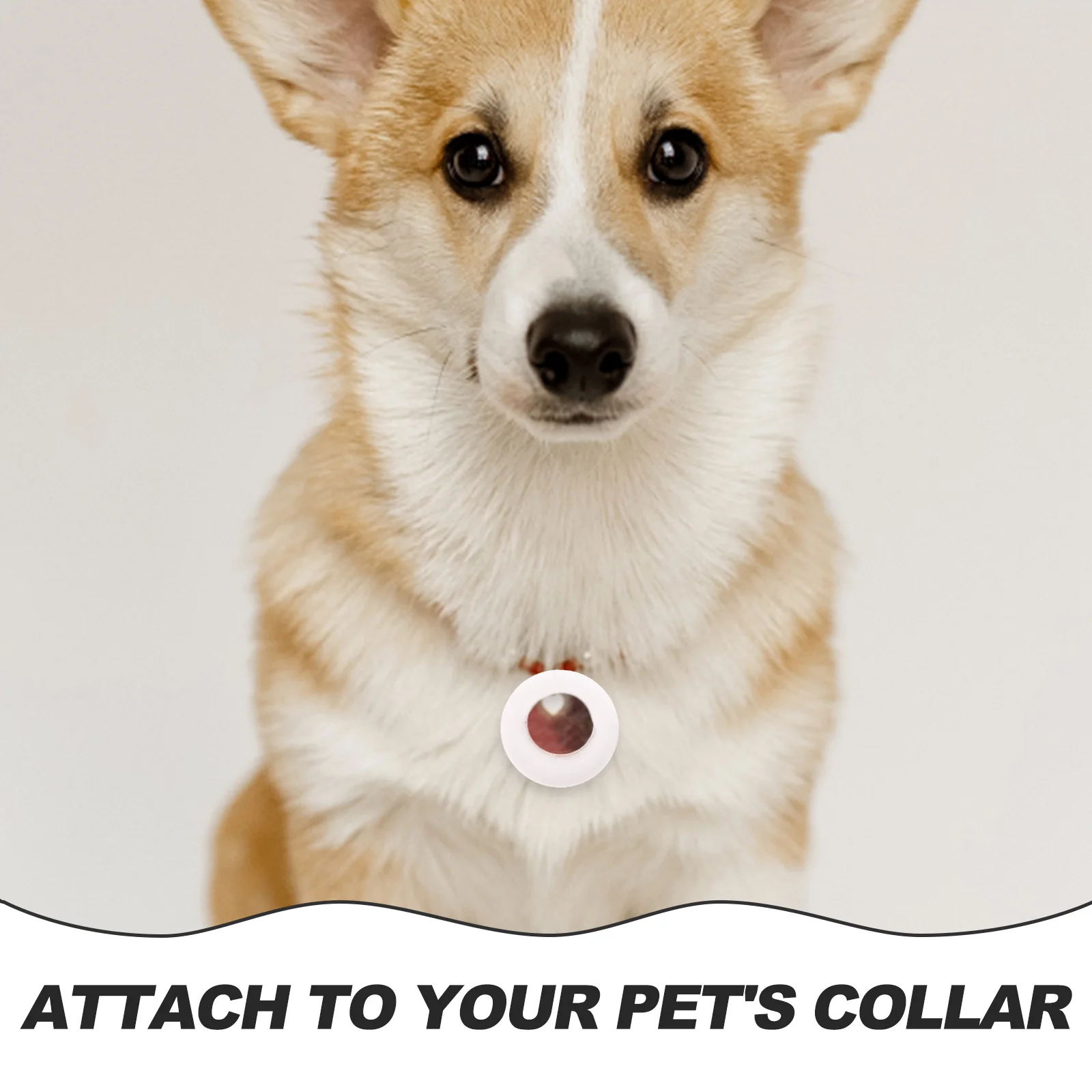 

2 Pcs Case Tracer Protective Cases Pet Collar Holder Safety Clip for Dog Tag Cover Accessories Accessory