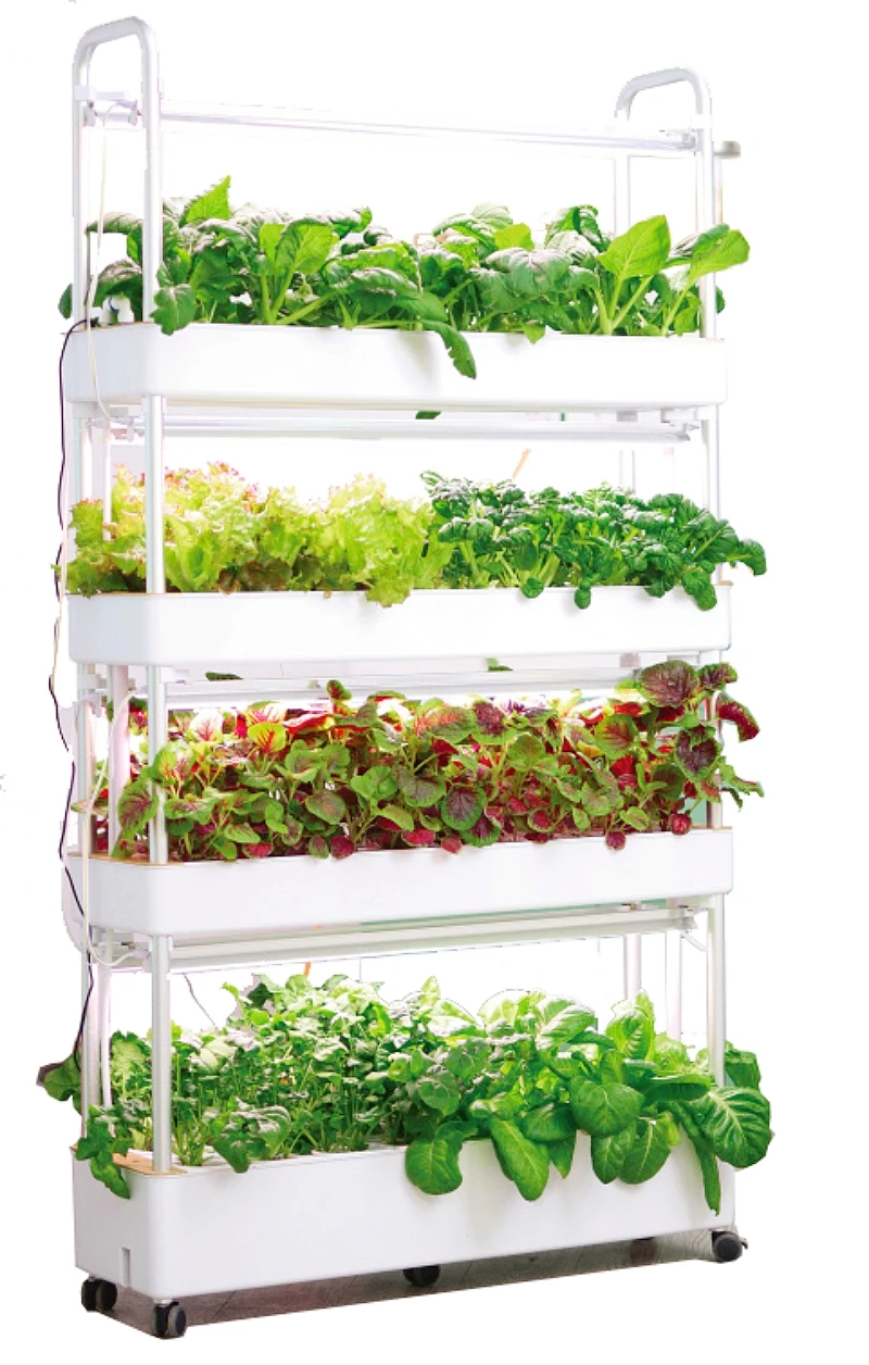Machine Growing High Quality Indoor Farming Vertical Rack High Yield Smart Farms Vertical Hydroponic