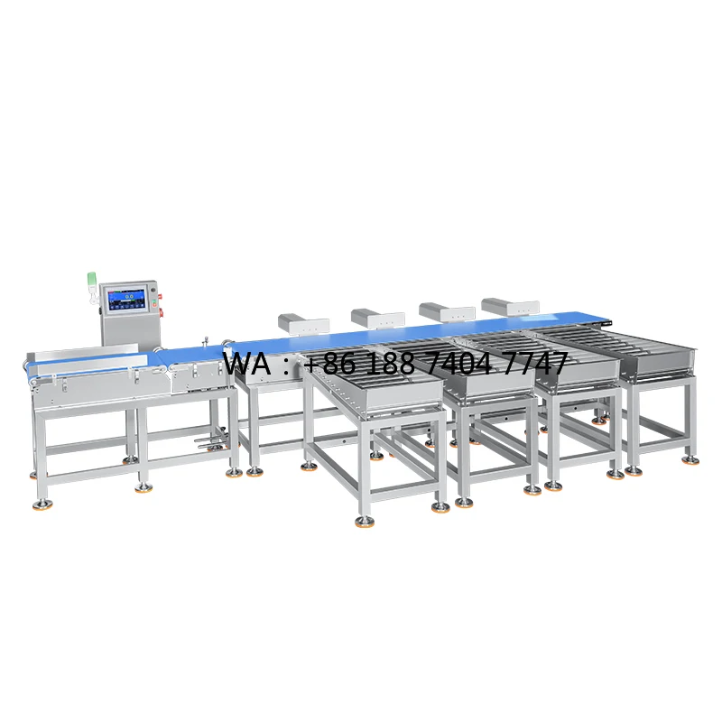 Automatic Weight Sorting Machine with Pusher Rejection for Orange Grapefruit and Watermelon Weight Inspection