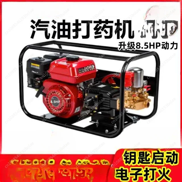 Four-stroke Gasoline High Pressure Sprayer Agricultural Orchard Sprayer Triple Cylinder Plunger Pump Sprayer