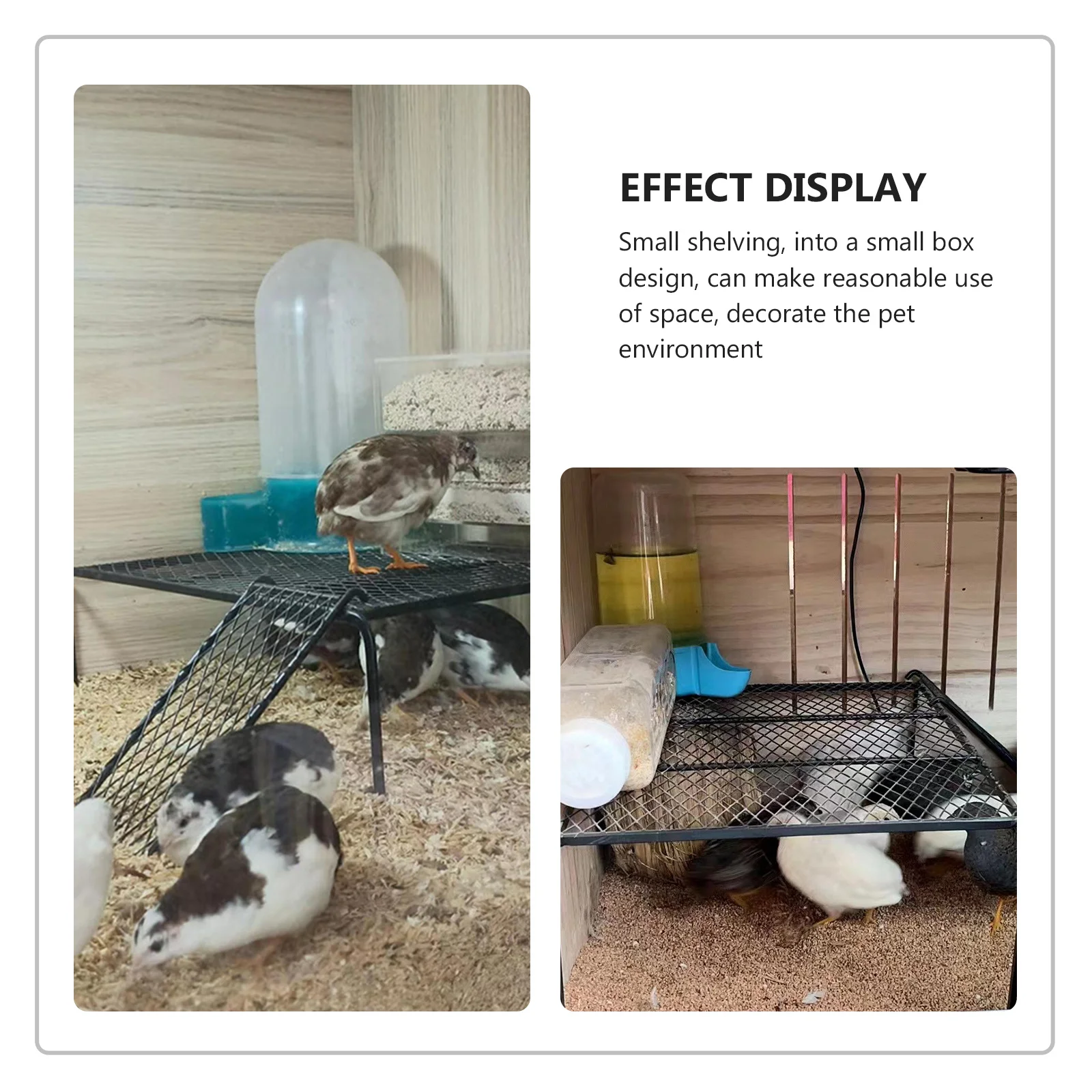 

1Set Iron Chicken Platform with Ladder Strong Stable Mesh Shelf for Chicken Coop Supply Dust Resistant Easy Wipe Clean Surface