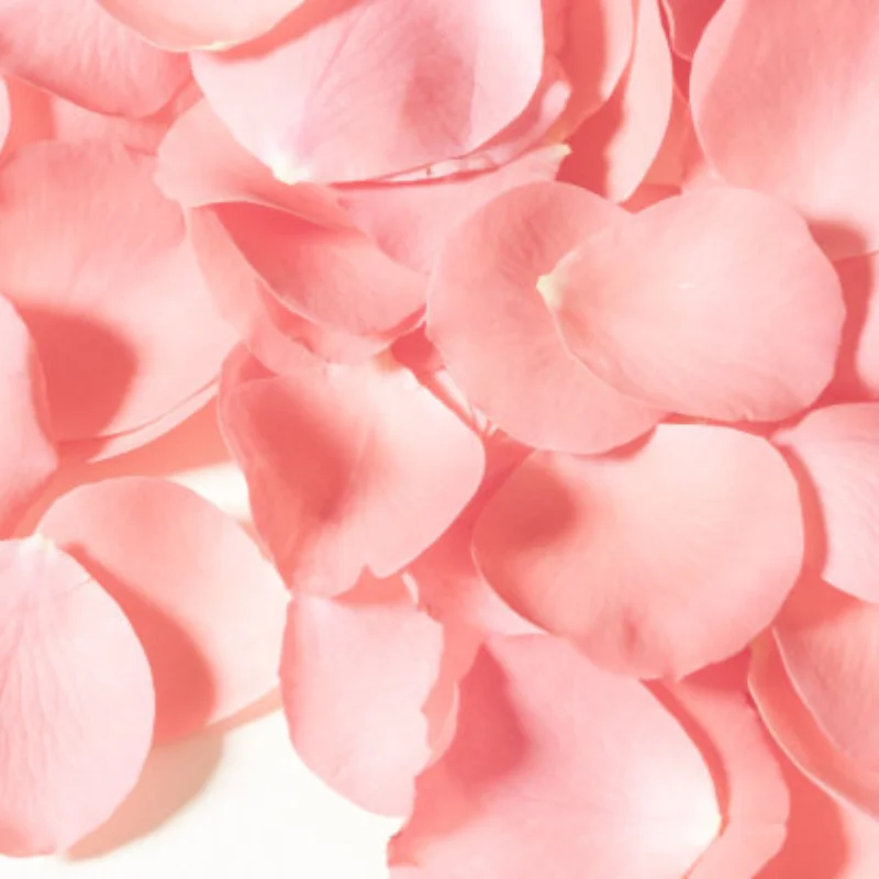 

24Mm 25Mm 4.0Mm 5.5Mm 1 Piece Model Car Wheel Wrench Fit For 1/5 Arrma TRXS HPI Baja KM RV 5B 5T 5SC LOSI RC Car