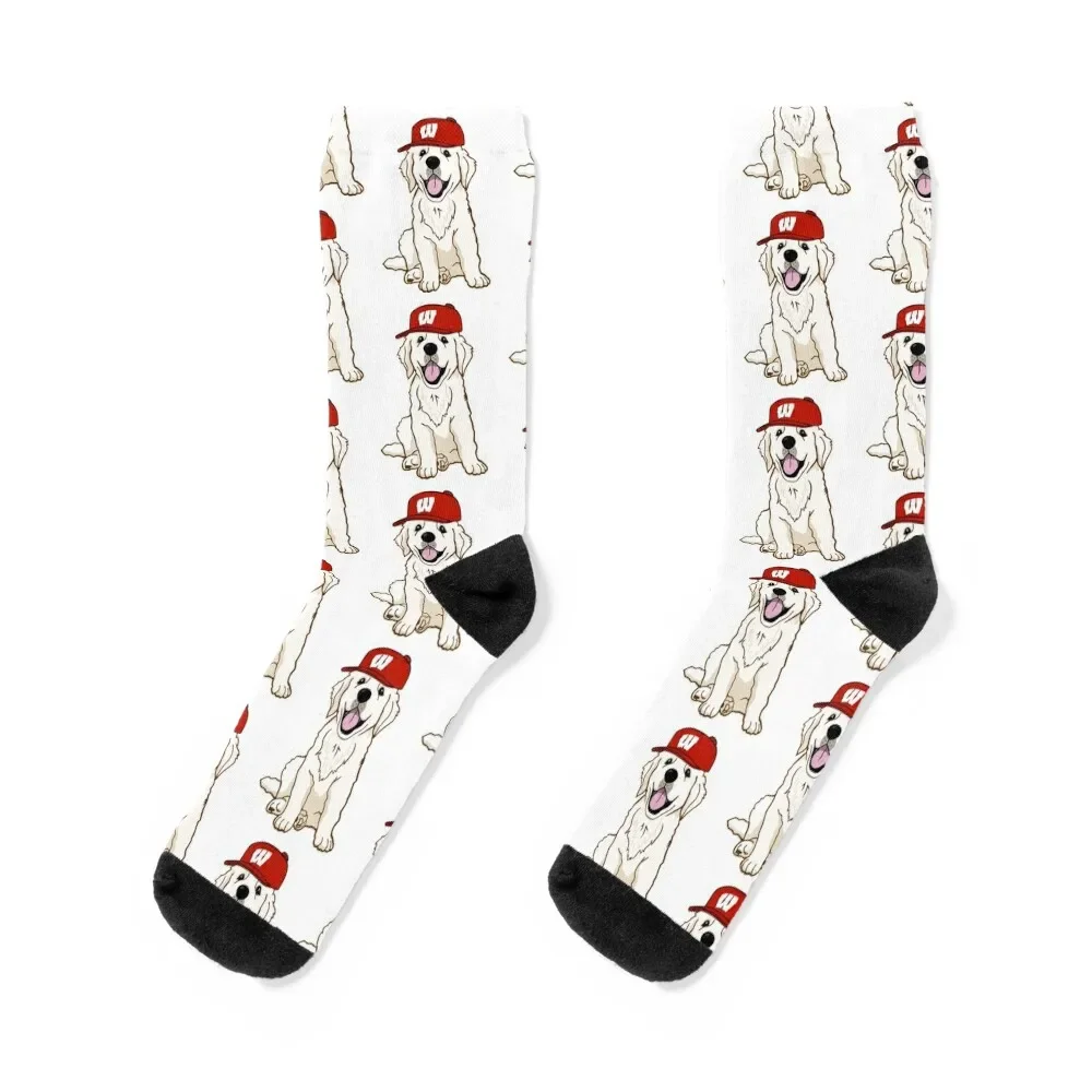 

UW-Madison puppy Socks Lots FASHION Toe sports gym Ladies Socks Men's