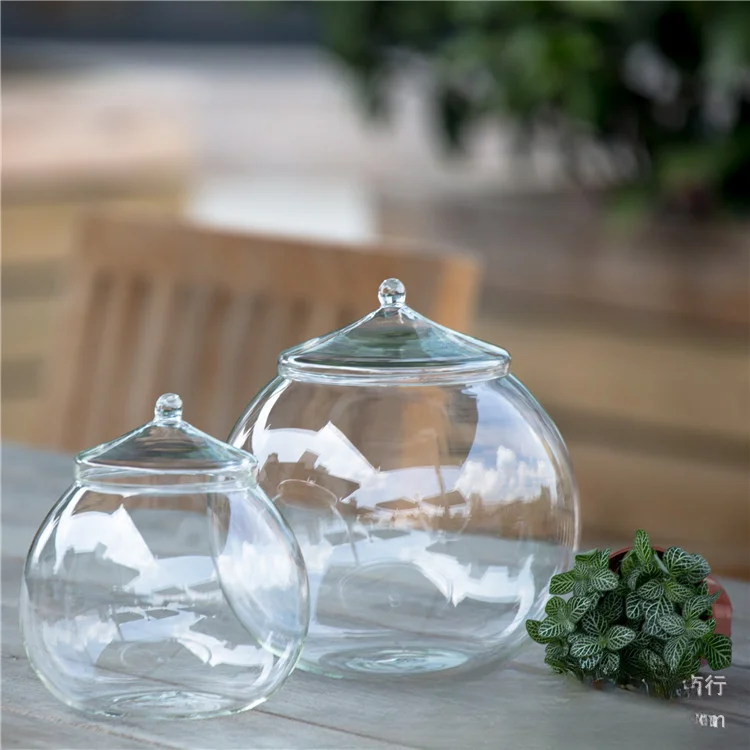 20cm Ecological Glass Bottle Moss Micro landscape Preserved Flowers Container Fish Tank DIY Planter Terrariums Plants Vases