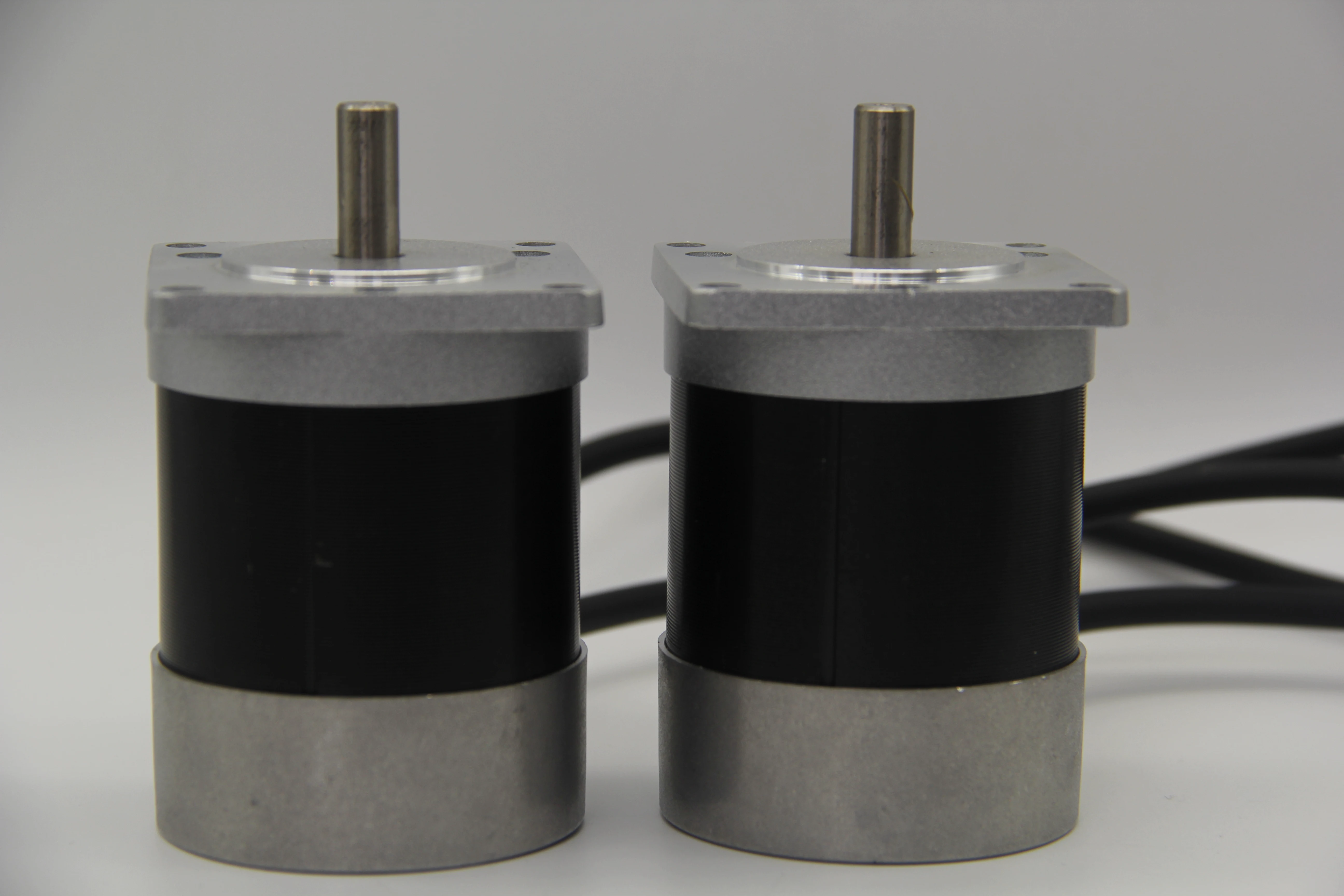 24VDC/48VDC 3000 RPM Alto Torque 100W BLDC