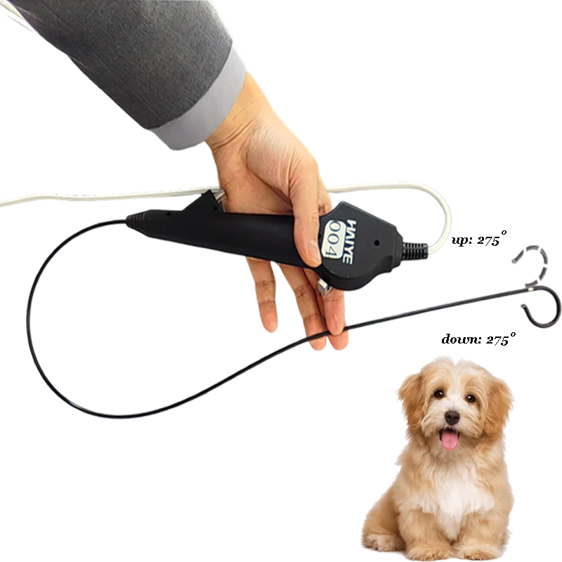 Factory Portable Veterinary Video Bronchoscope for Pet Animal Clinic Hospital ENT Endoscope Camera