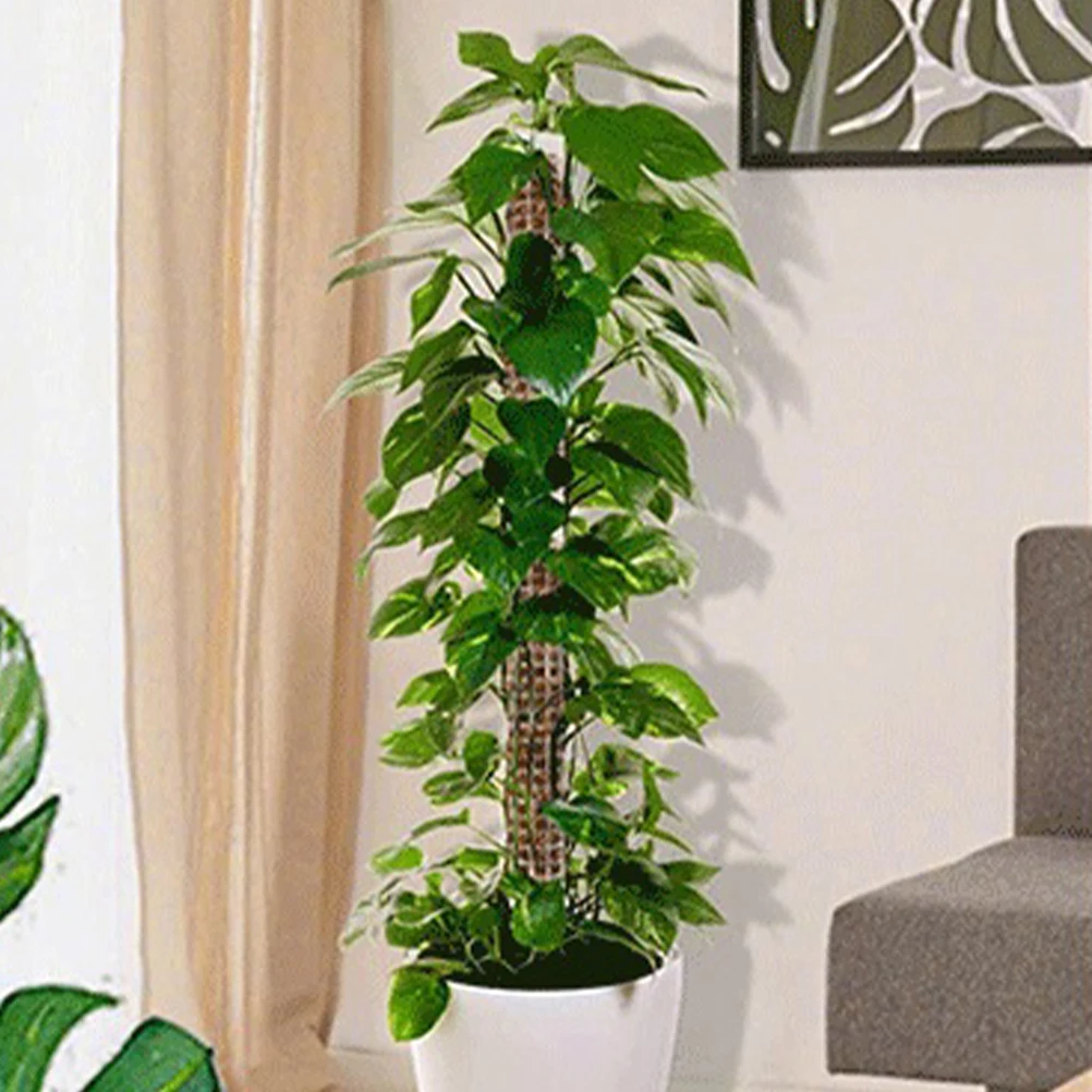 

2pcs Moss Pole Kit Plants Stem Support Vine Climbing Rack Column Flower Pot Trellis Indoor Plastic Moss Poles Vegetable Cage