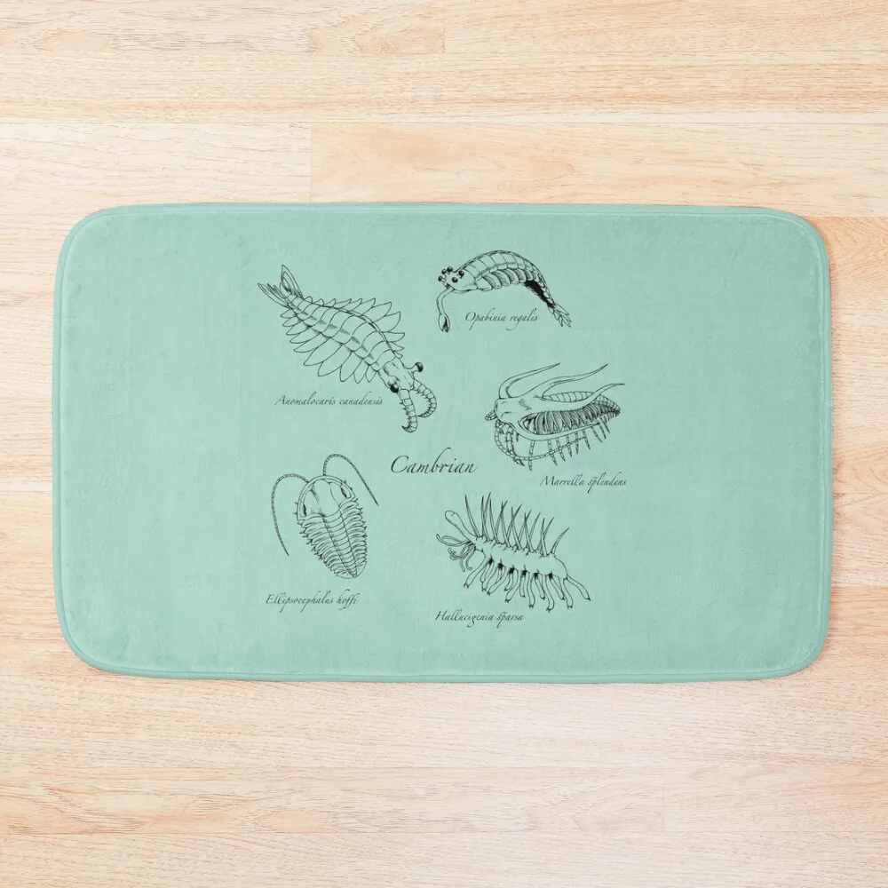 

Cambrian Life (Hand Writing Style Font) Bath Mat Carpet For Shower For Toilet Mat
