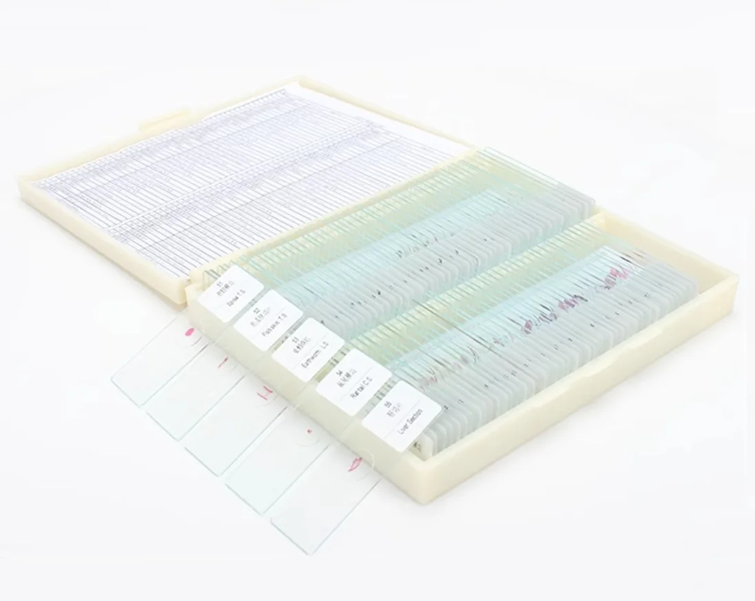 100PC Permanent Prepared Microscope Slides Plants Animal Biological Specimen Sample Sections for Student Laboratory