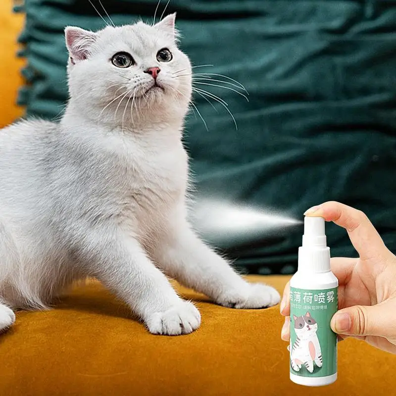 Catnip Spray For Cats Natural Maximum Potency Cat Nip Bundle High Potency Catnip 50ml Safe Non-Addictive Catnip Feline And Cat