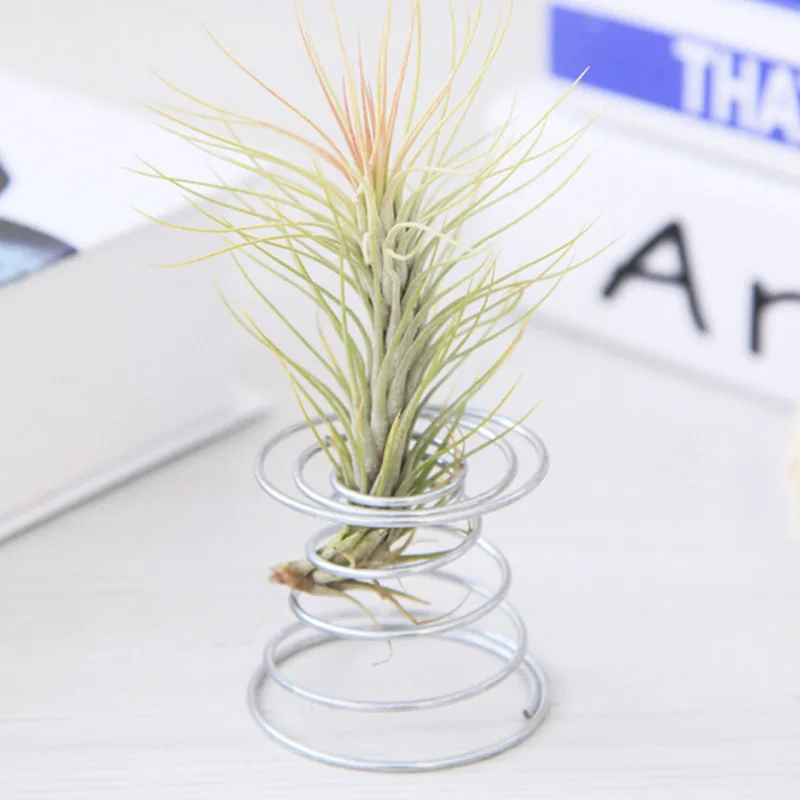 1/5 Pcs Air Plant Stand Airplant Container Tillandsia Holder Stainless Steel Tabletop Plant Display Racks Air Pineapple Base