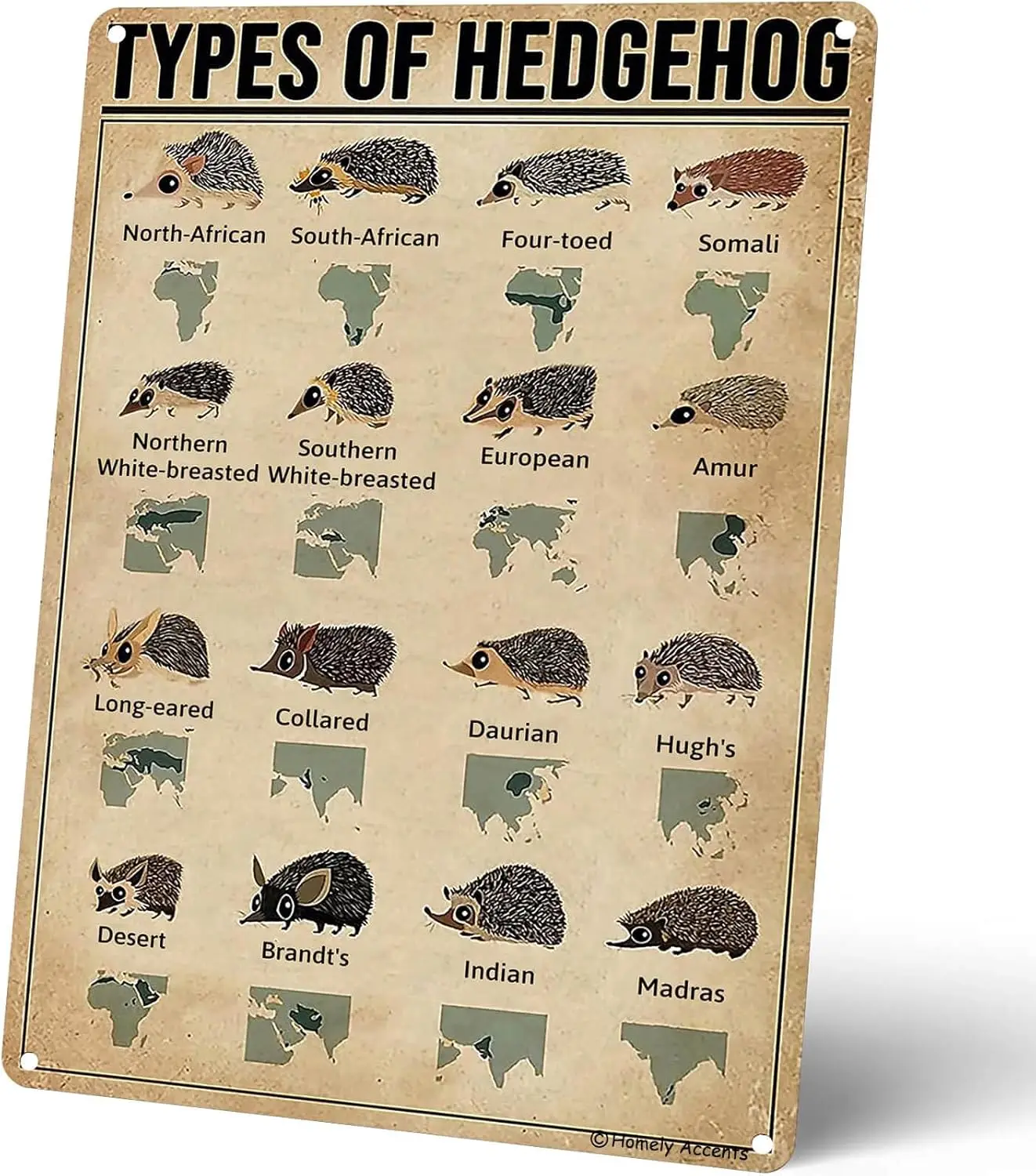 Vintage Farmhouse Decor Metal Signs, Types Of Hedgehog, Educational Art Poster Tin Signs for Bathroom Yard Wall Decor, for  sign