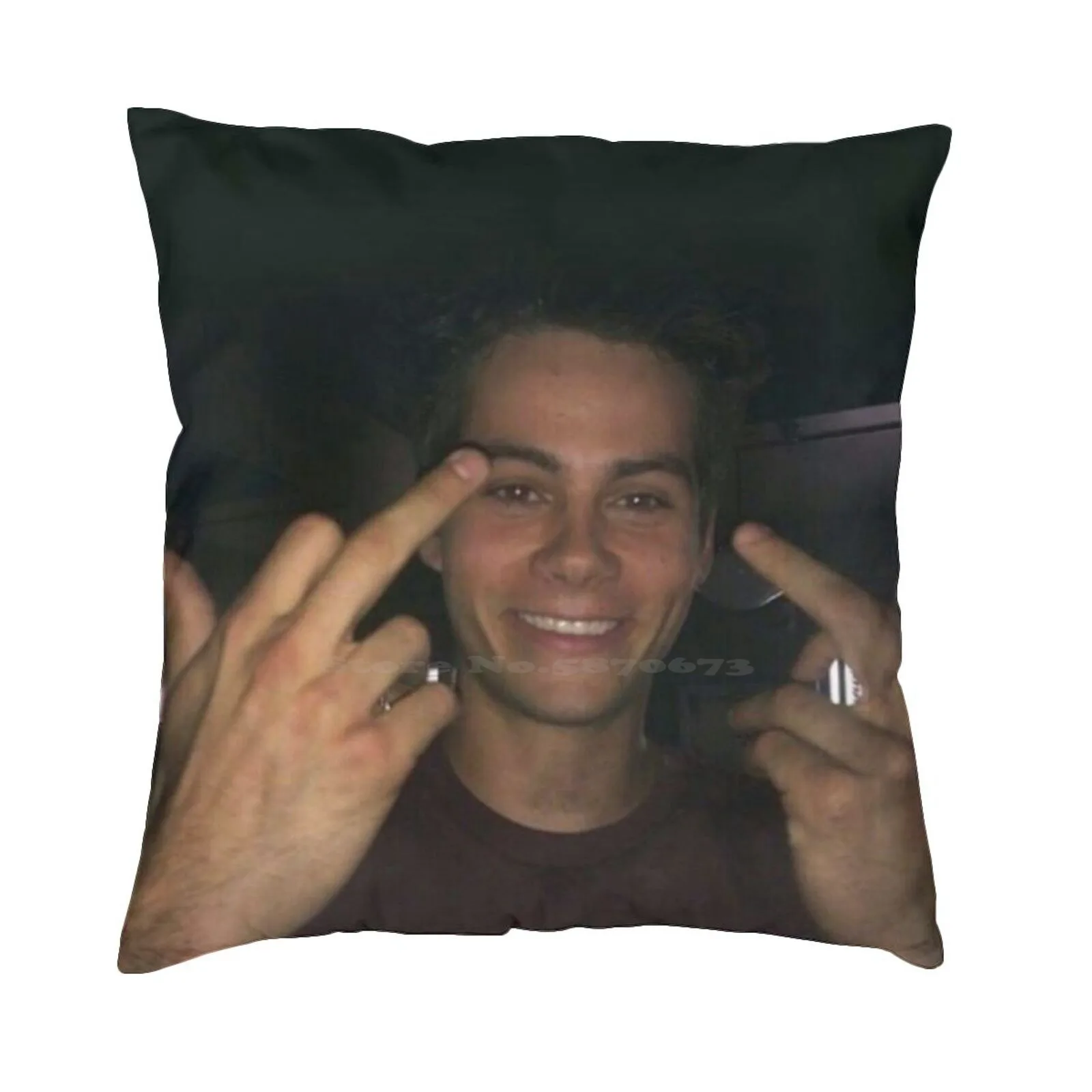 Dylan O’Brien Middle Fingers Pillow Cover Hug Pillowcase Thomas Brodie Sangster Stiles Stilinski The Maze Runner Teen Wolf