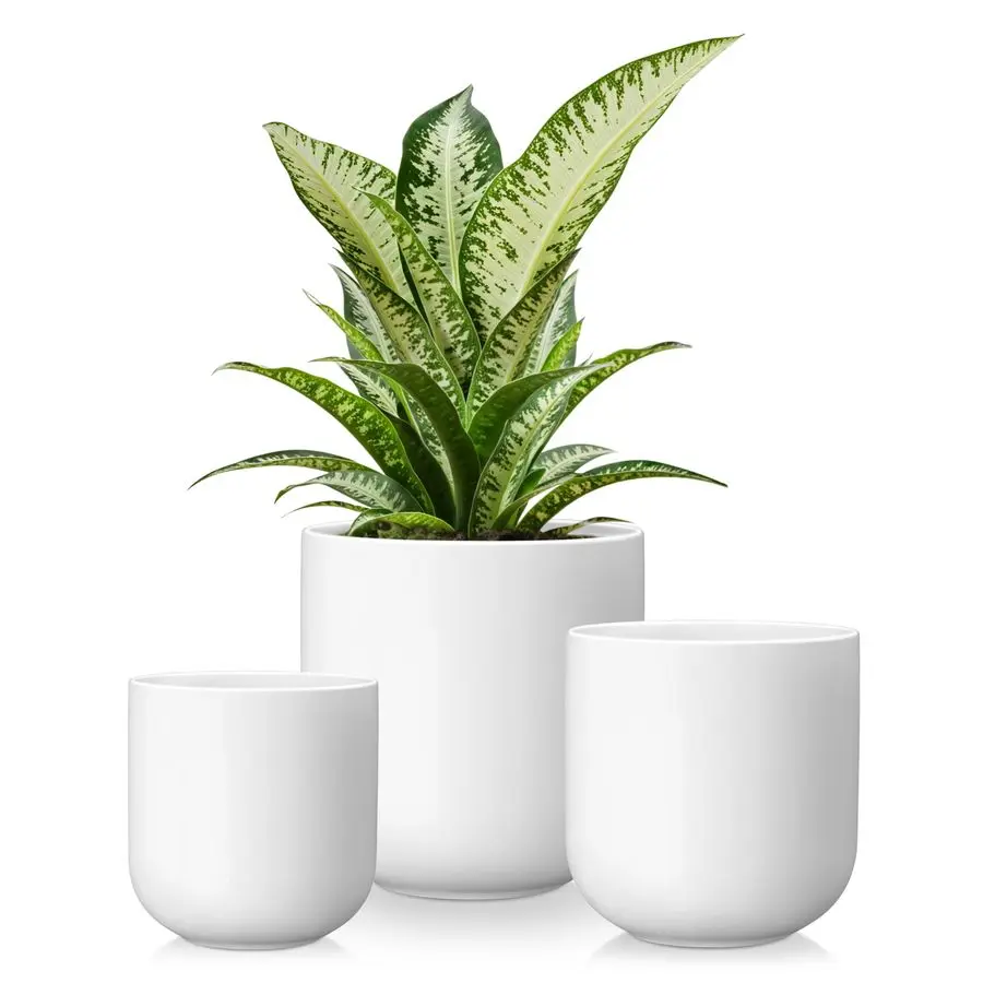 

Ceramic Plant Pots, 456 inches, Set of 3, Planters with Drainage Hole, Flower Pots Planters Pots for Indoor Plants, Modern Indoo