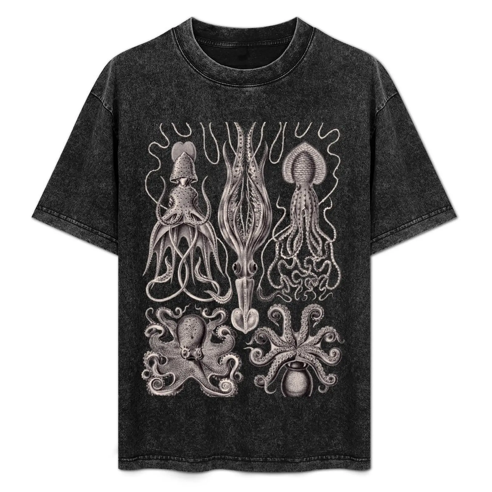 

Ernst Haeckel Gamochonia Octopus Lavender Grey T-Shirt Comfortable Work Wear Tee