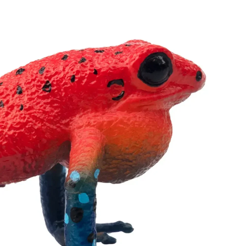 Toymany Simulation Erdbeere Frosch Reptil Reich Tier Modell Spielzeug Mini Figuren Puppen Action Figuren Spielzeug Kinder – Detail 8