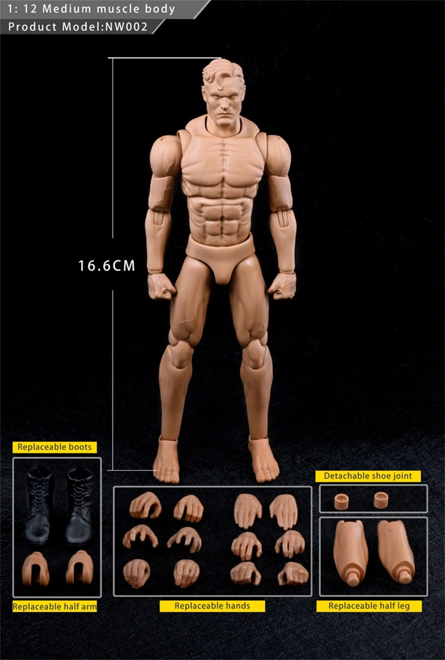 

nwtoys 1/12 Super-flexible Muscle Man Figure Body 6inches Doll