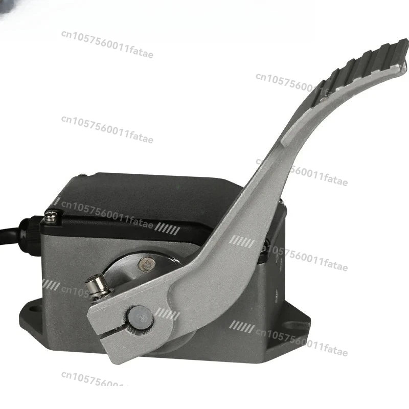 

Throttle Pedal, Foot Accelerator