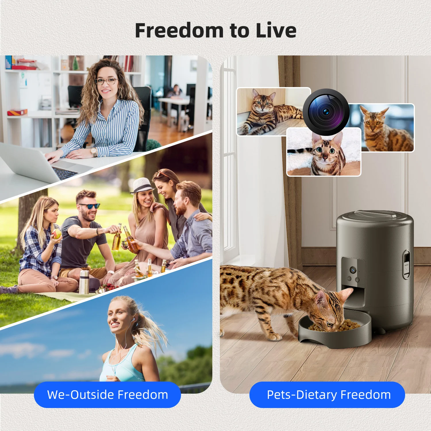 Thumbnail 4 - #37 Best Cat Feeding Dispensers to Buy In 2026