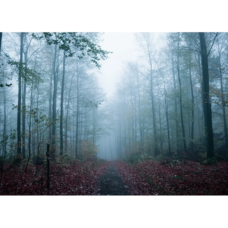 Phong Cảnh Thiên Nhiên Nền Chụp Ảnh Mùa Xuân Cảnh Quan Du Lịch Hình Phông Nền Phòng Thu Đạo Cụ 2196 SSL-04