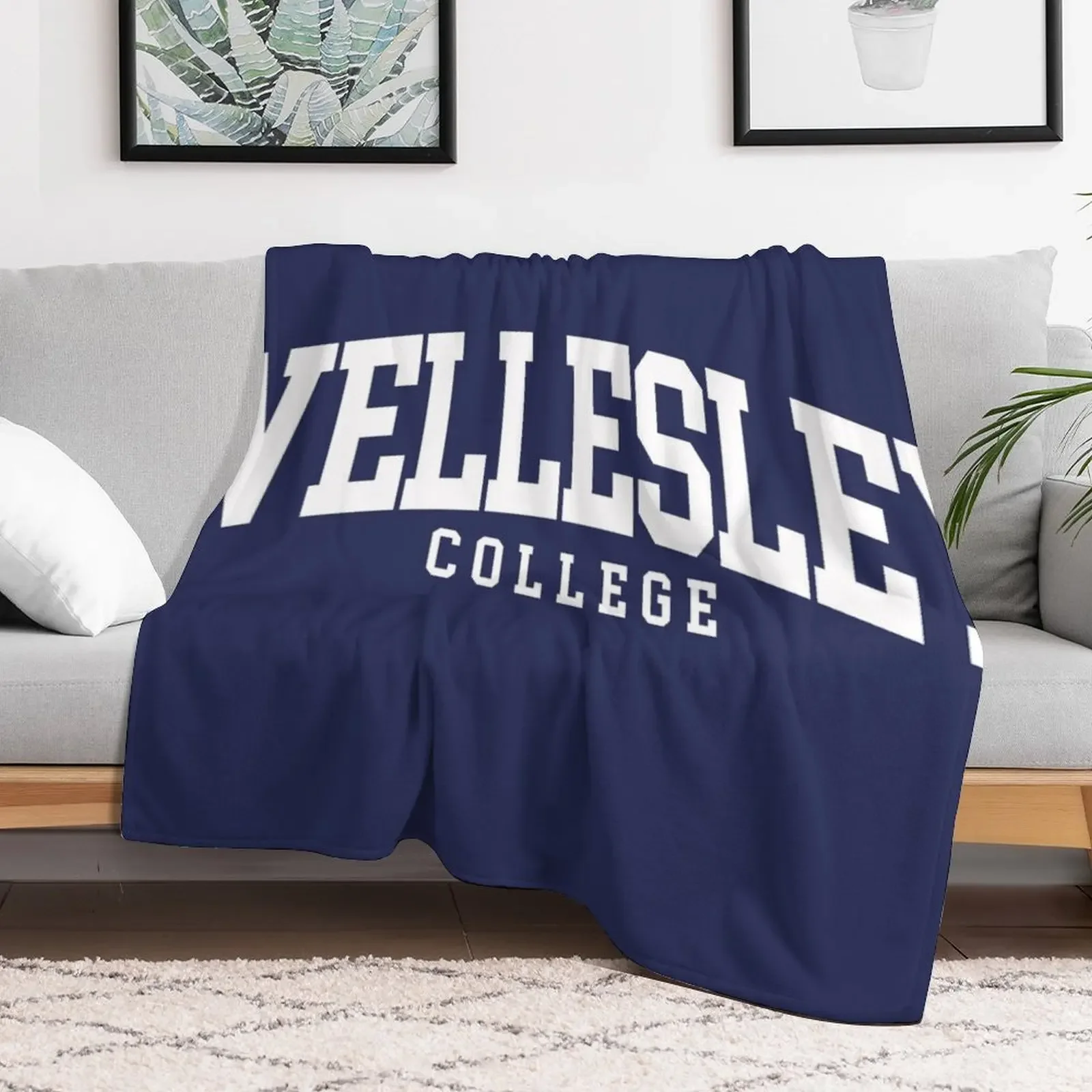 wellesley - college font curved Throw Blanket Polar Soft Plush Plaid Blankets