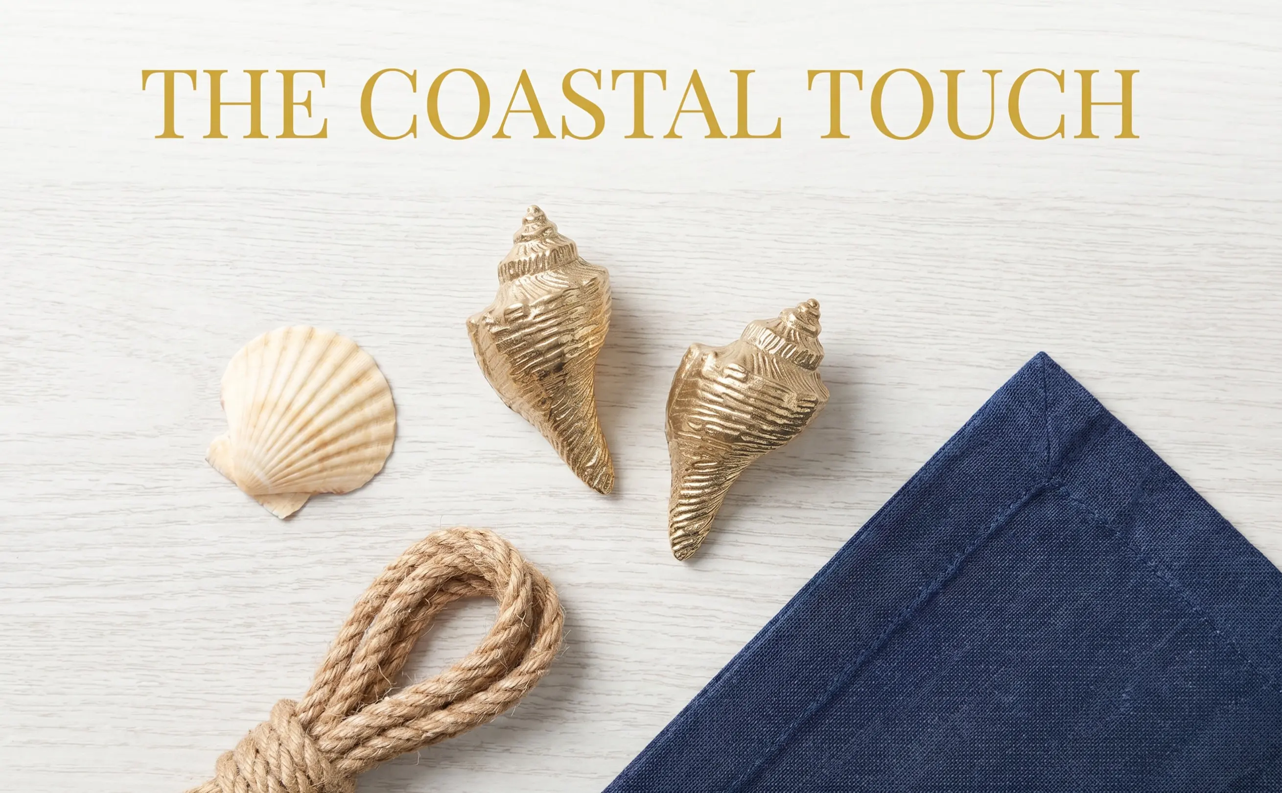 2Pcs Elegant Brass Shell Cabinet Pulls Coastal Theme Decorative Handles for Drawers Dressers Vintage Rustic Furniture Hardware