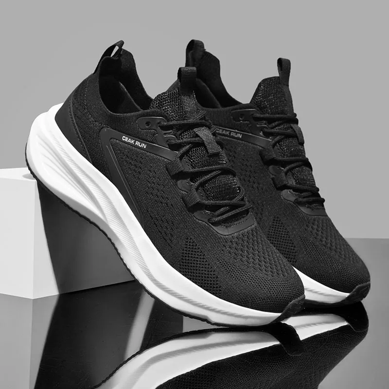 Men's Casual Shoe Classic Lace Up Low Cut Loafers Comfortable and Stylish Sports Shoes - Mesh Walking Shoe Sizes Tennis Shoes