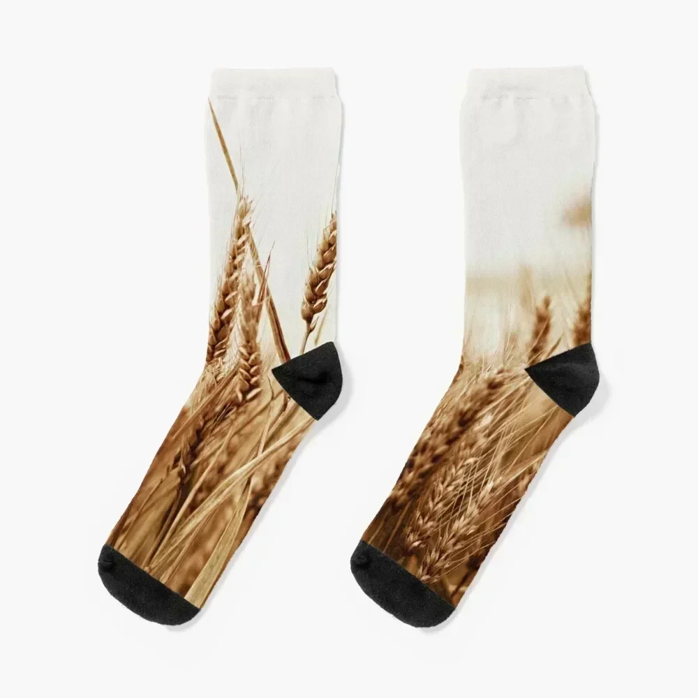 

Wheat field Socks hip hop fashionable Stockings cute Male Socks Women's