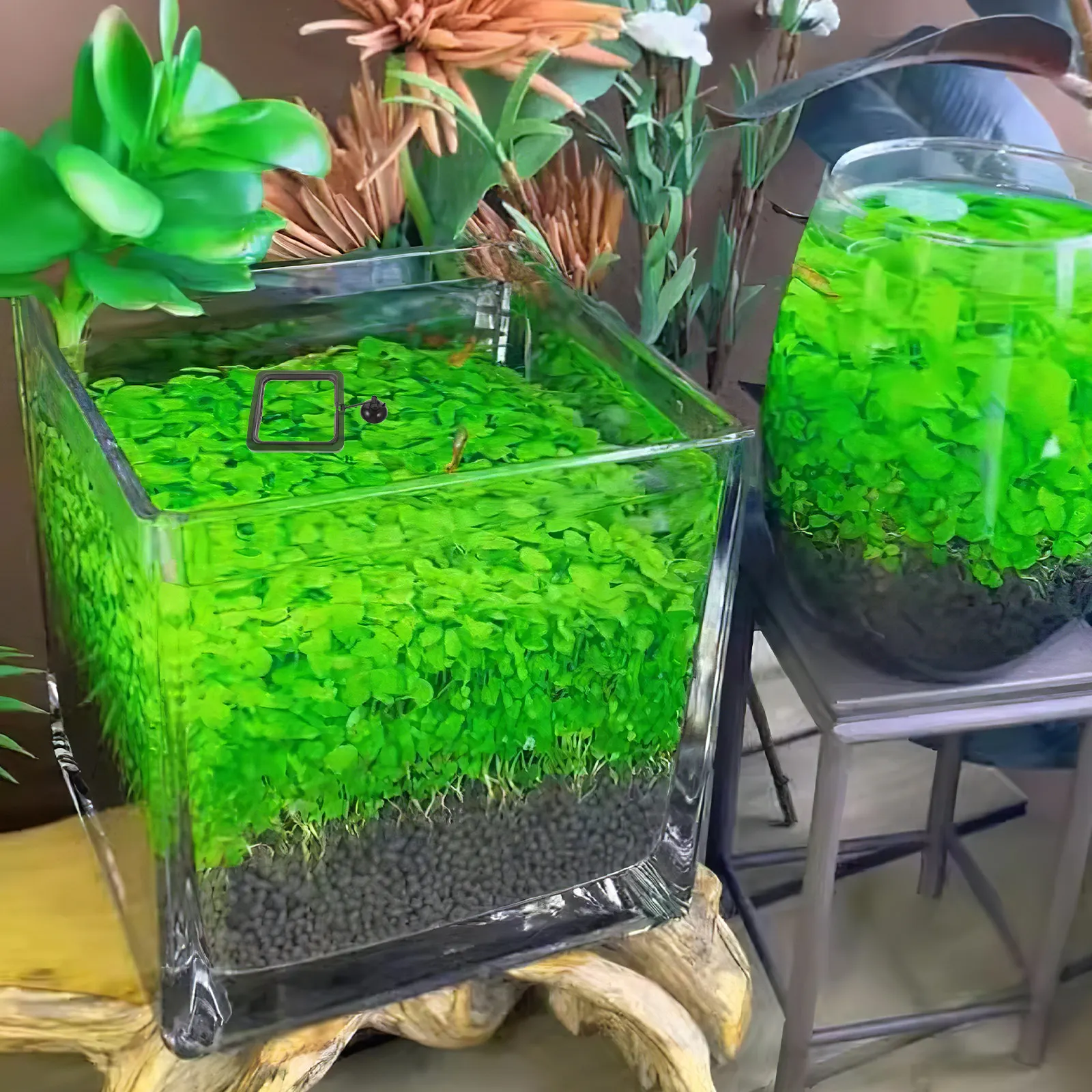Aquarium Fish Keeping - Balık Yemi Dağıtıcı, Kare Akvaryum Balık