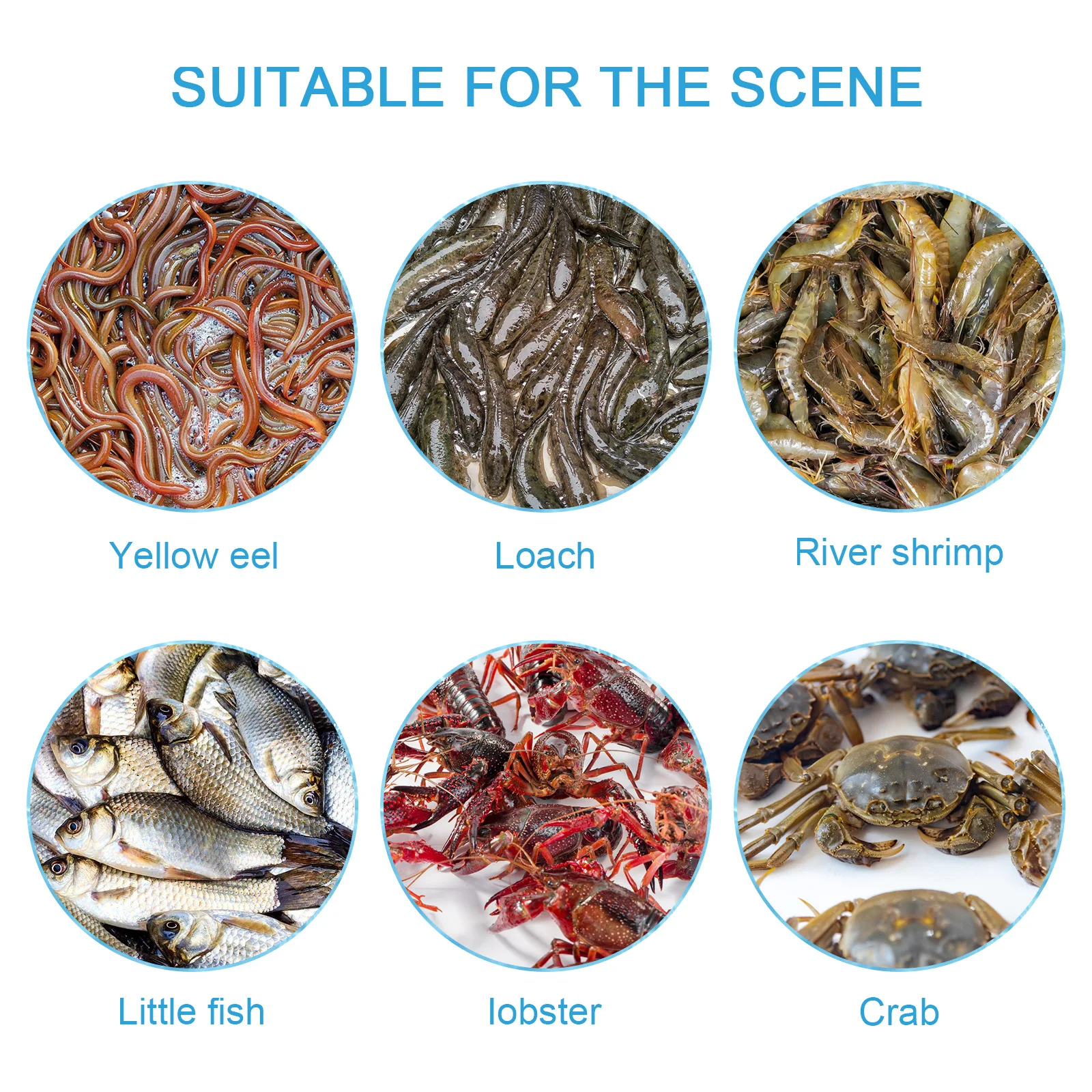 

Eel Catching Net For Crabs Lobsters Shrimps Fish Trap Basket Portable Reusable Handmade Premium Light Compact Breathable Durable