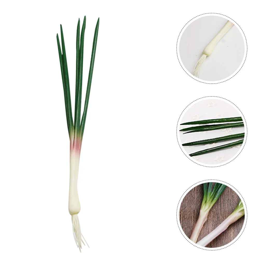 Simulated Onion Model Simulation Vegetable Models Vegetables Artificial Fake Green Realistic Scallions