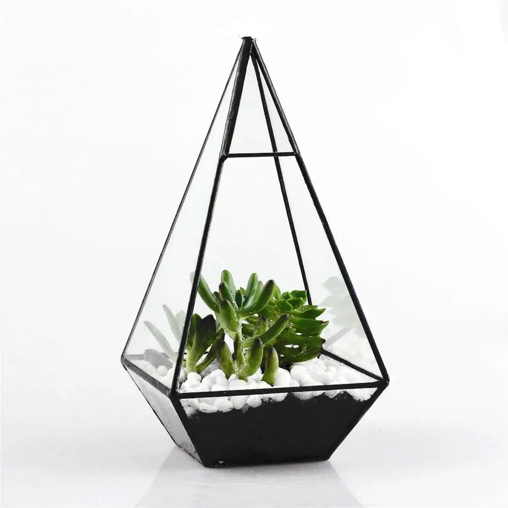 Piramida Przezroczyste szkło Geometryczne pudełko do terrarium Sadzarka na sukulenty Domowy ogród Uchwyt artystyczny Czarny 12 x 12 x 24 cm