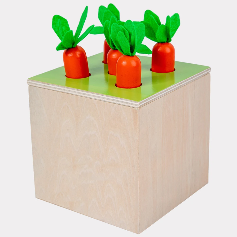 

Intelligence Box Building Blocks Toys Montessori Educational for Toddlers 1 3 Years Old Sorting Matching Games Premium Wood Safe