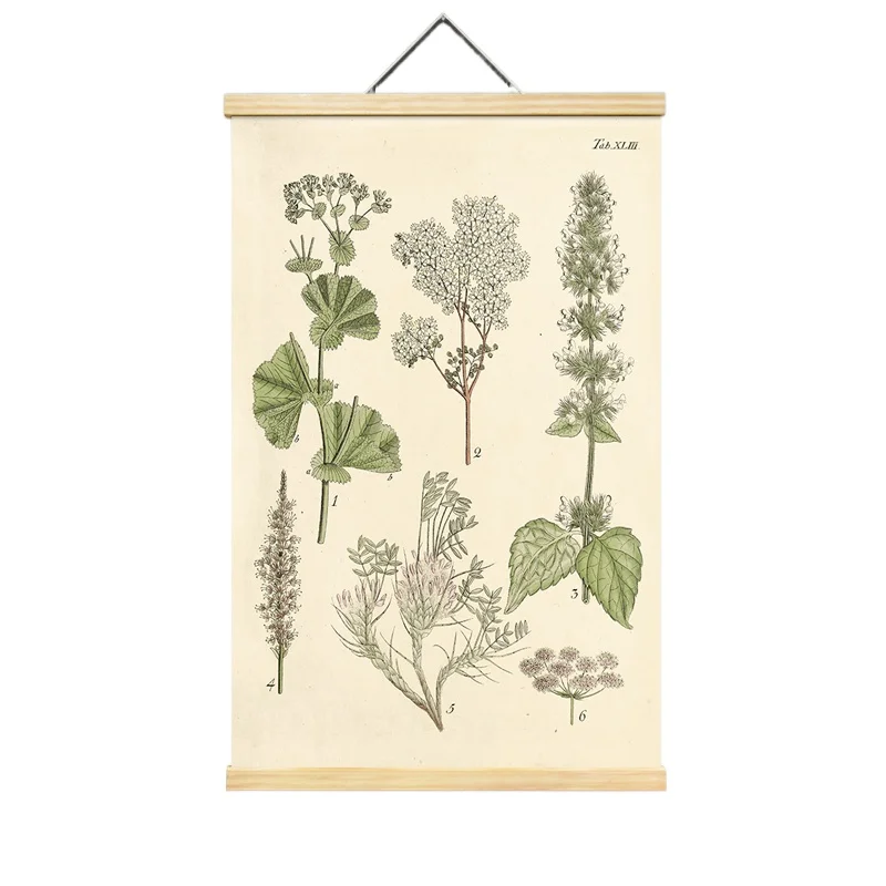 RKT4 Vintage Flower Bird Fish Butterfly Decoration Classroom Plant Insect Bird Canvas Painting