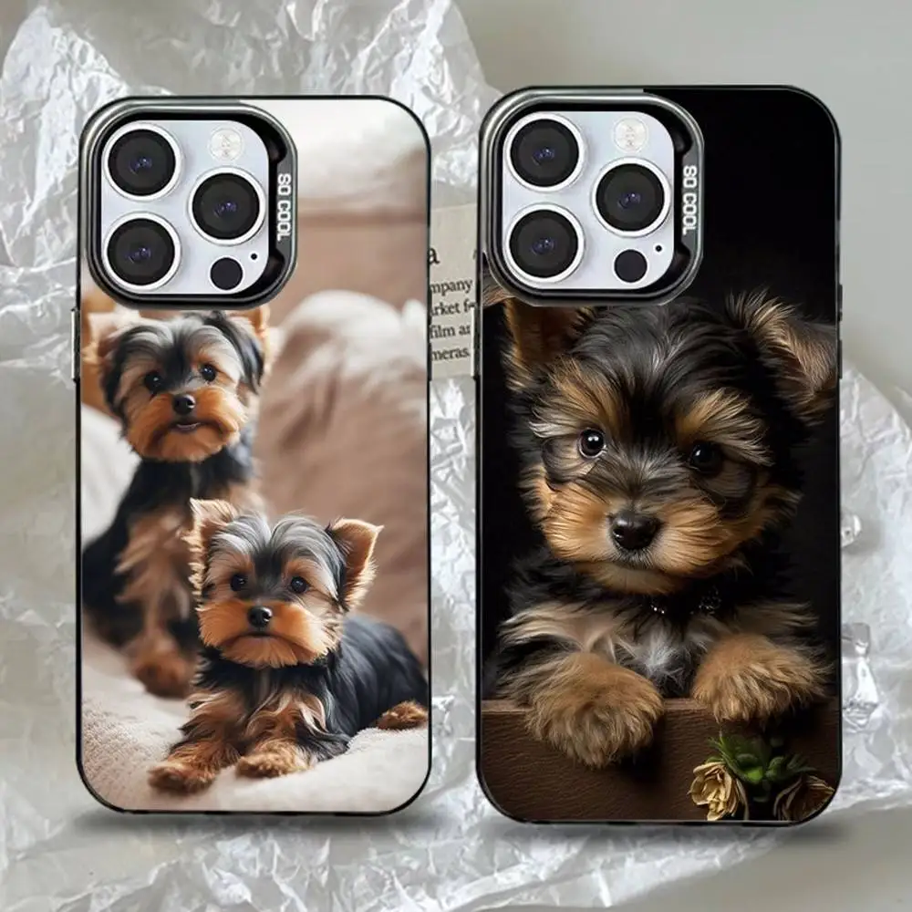 

Yorkshire Terrier Dog Phone Case For iPhone 16,15,14,13,12,11,Pro,Max,Plus,Mini,XS,SE Anti Fall Black Matte Hard Bumper