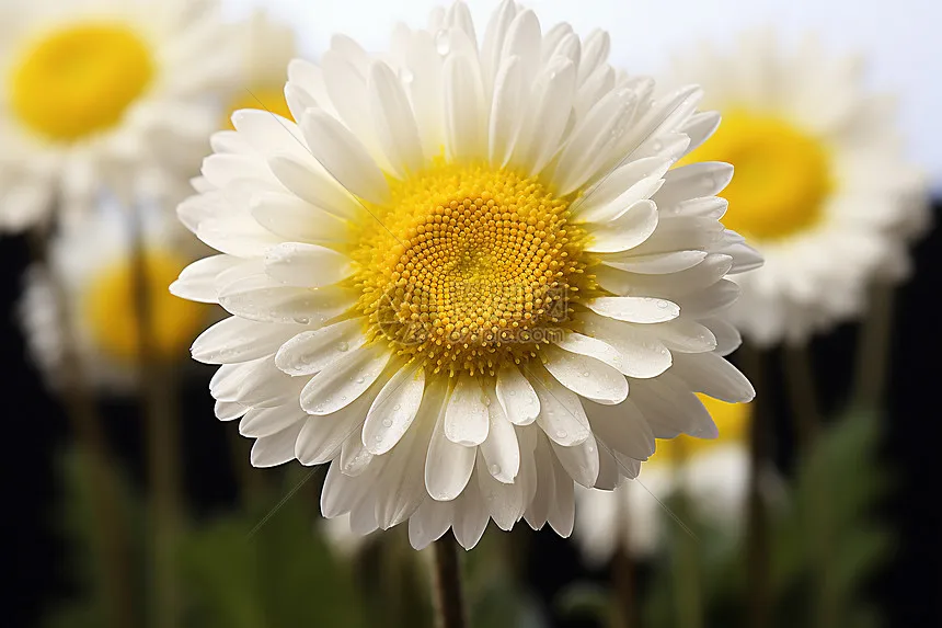 

Топливный бак A63T-RC для автомобилей Kyosho FW06, багги и грузовиков - для моделей с коробкой передач Kukirin - VS113