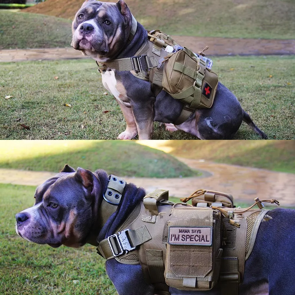 1000D Tactical Dog Vest Outdoor Hunting Protective Shoulder Adjustable Vest  Quick Release Combat Equipment Puppy Pet Training