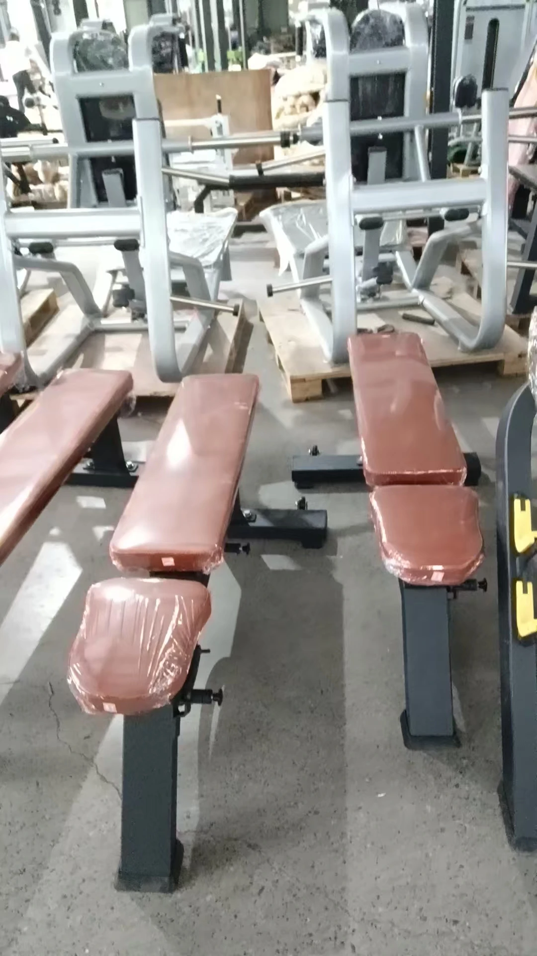 مقعد الدمبل الداخلي التجاري لكمال الأجسام، مقعد رفع الأثقال، مقعد فائق قابل للتعديل لمركز اللياقة البدنية في صالة الألعاب الرياضية