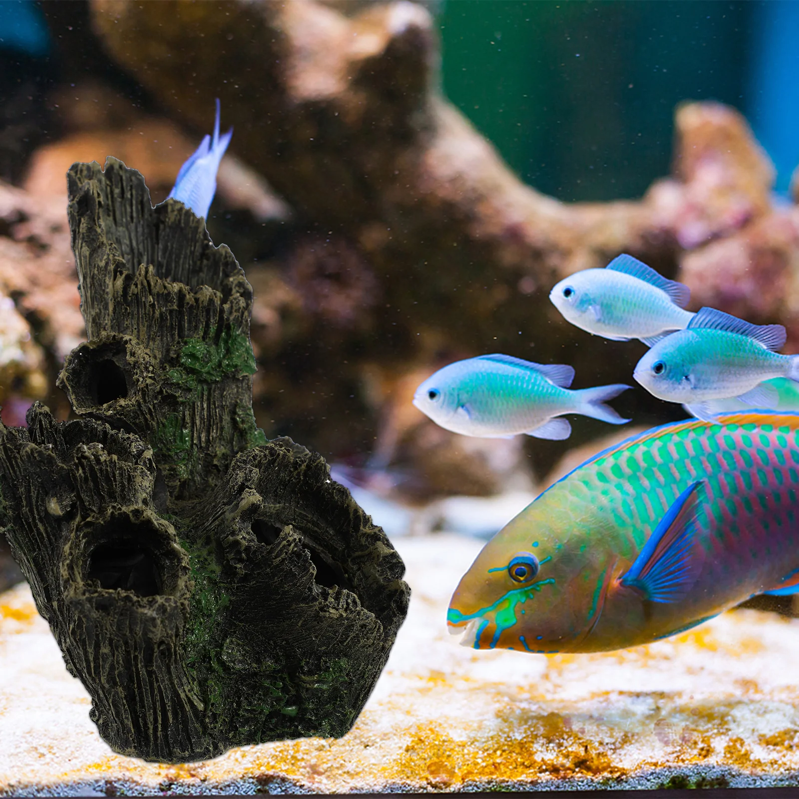 

Aquarium Resin Cave Decoration Durable Natural Fish Play Fish Tank Ornament Aquarium Hiding Cave Shrimp Shelter