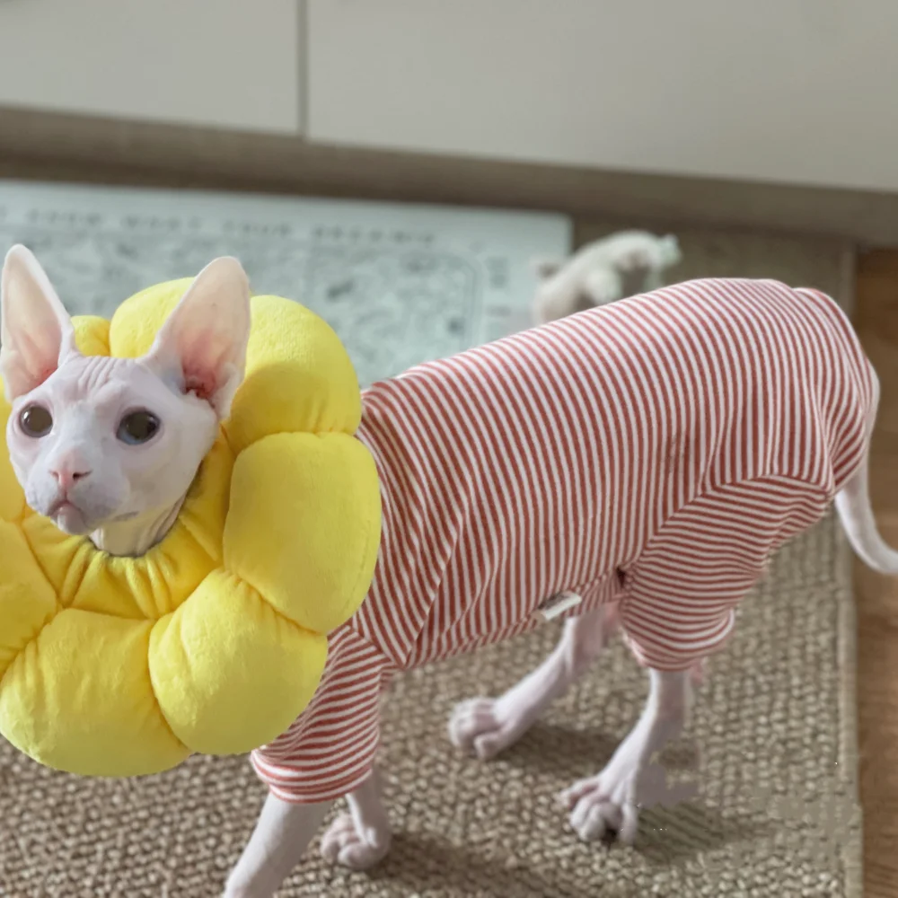 Cat Clothing Spring Striped 4-legged Cotton Coat for Sphynx Cat Winter Undershirt for Kittens Grey Warm Loungewear for Devon Rex