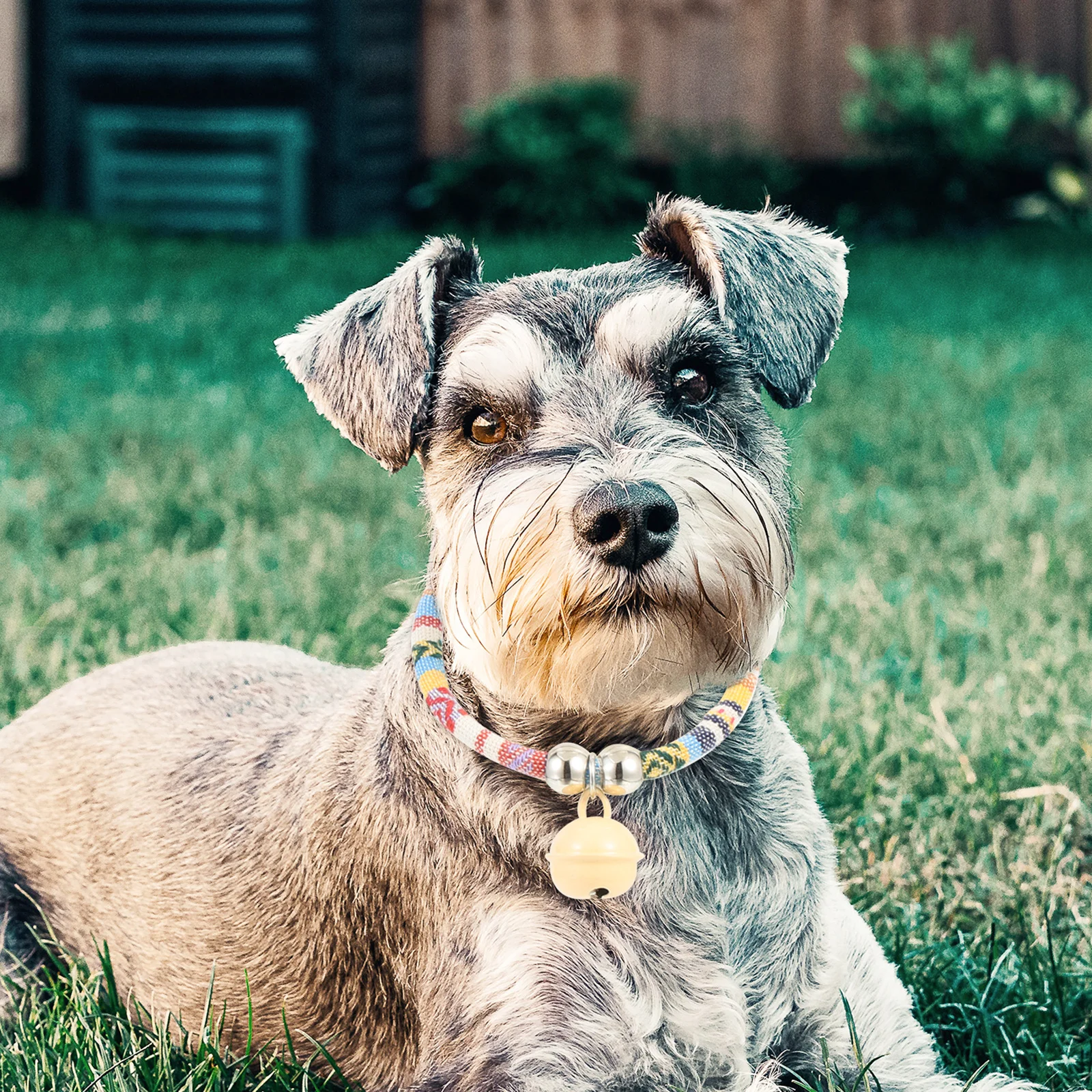 

2Pcs Ethnic Bell Collars Adjustable Wear-Resistant Pet Necklaces Cat Kitten Puppy Accessories Decorative Multi-Function Cat