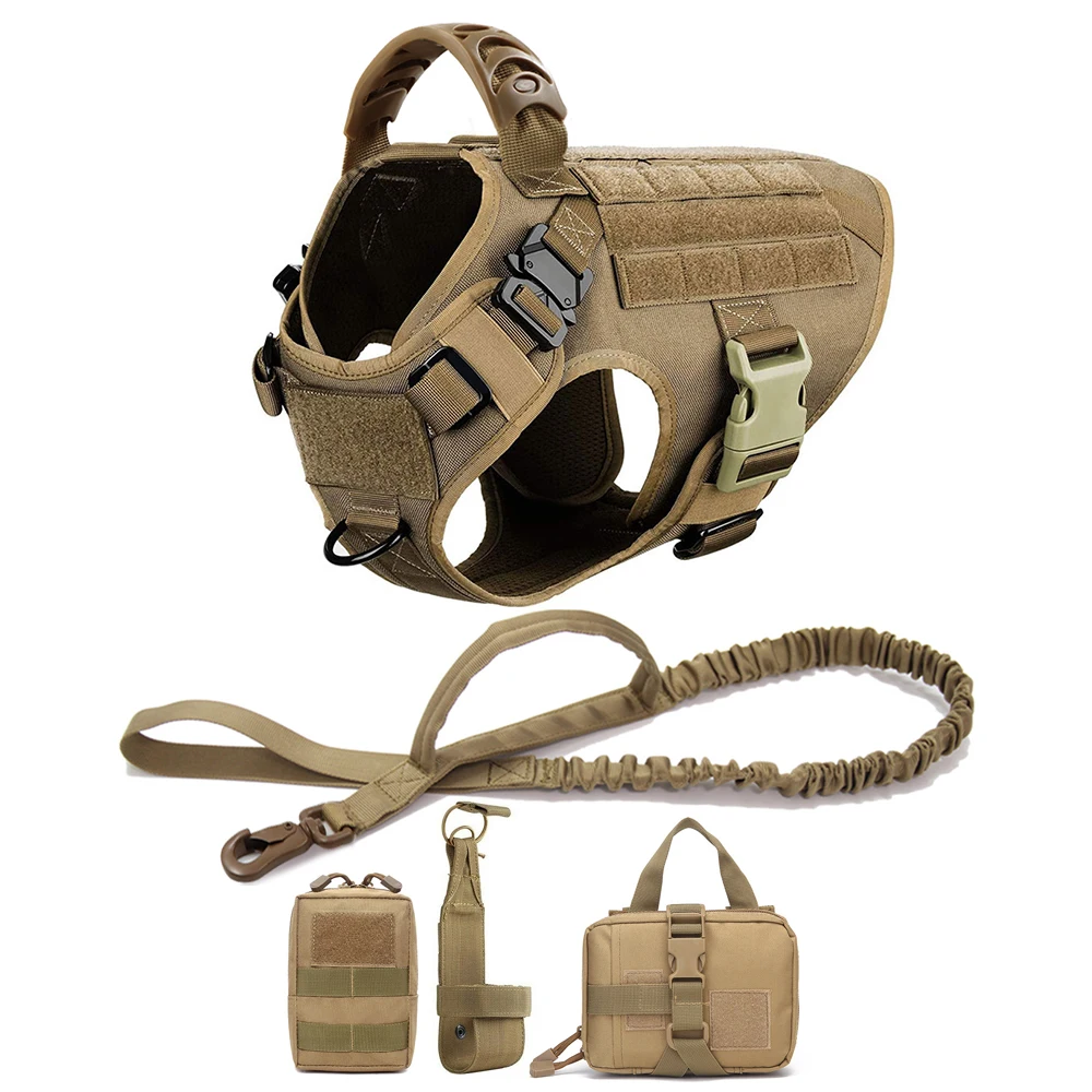 Large Dog Harness & Leash Set 1