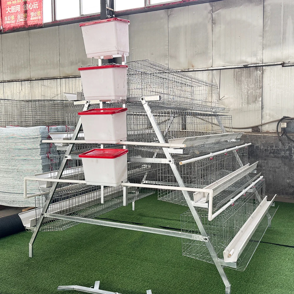 Bestseller 1000 Birds Layer Chicken Cage Anticorrosive Rust Prevention Poultry Battery Coops Farming Equipment for Laying Hens