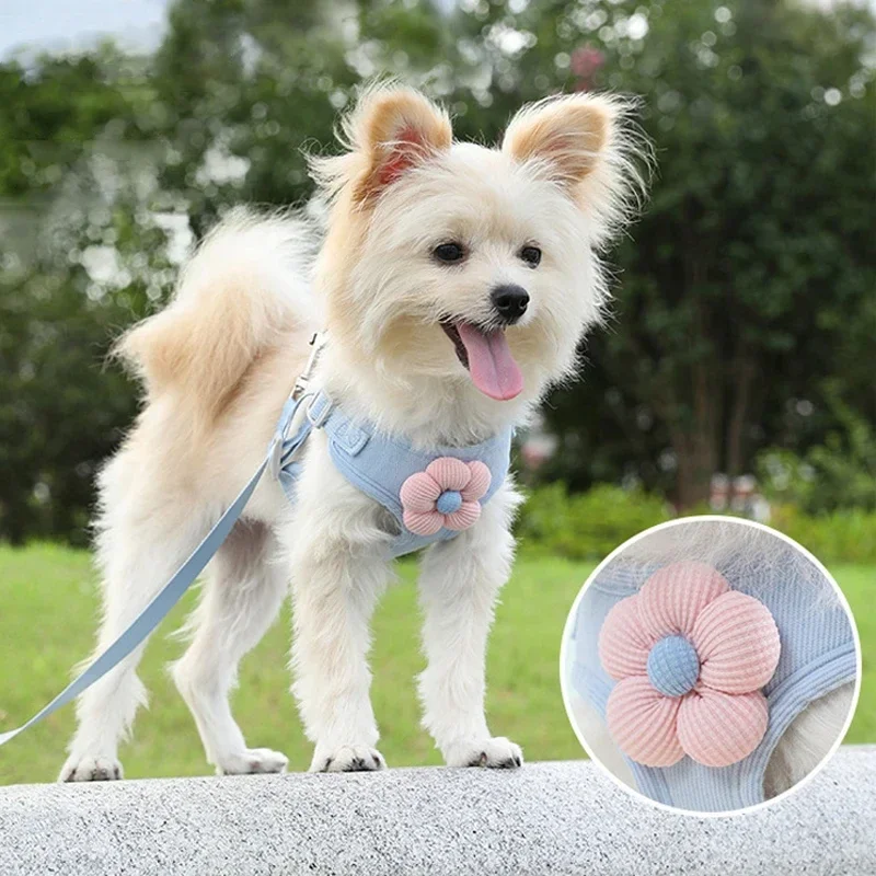 

Pet vest traction rope dog cartoon three-dimensional accessories Teddy walking dog rope cat going out chest and back protection