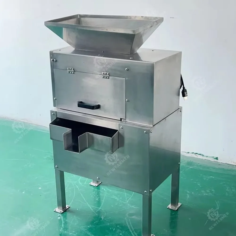 Commercial Automatic Fruit Beating Machine Stainless Steel Dual Channel Yangmei Seabuckthorn Mango De Nucleating
