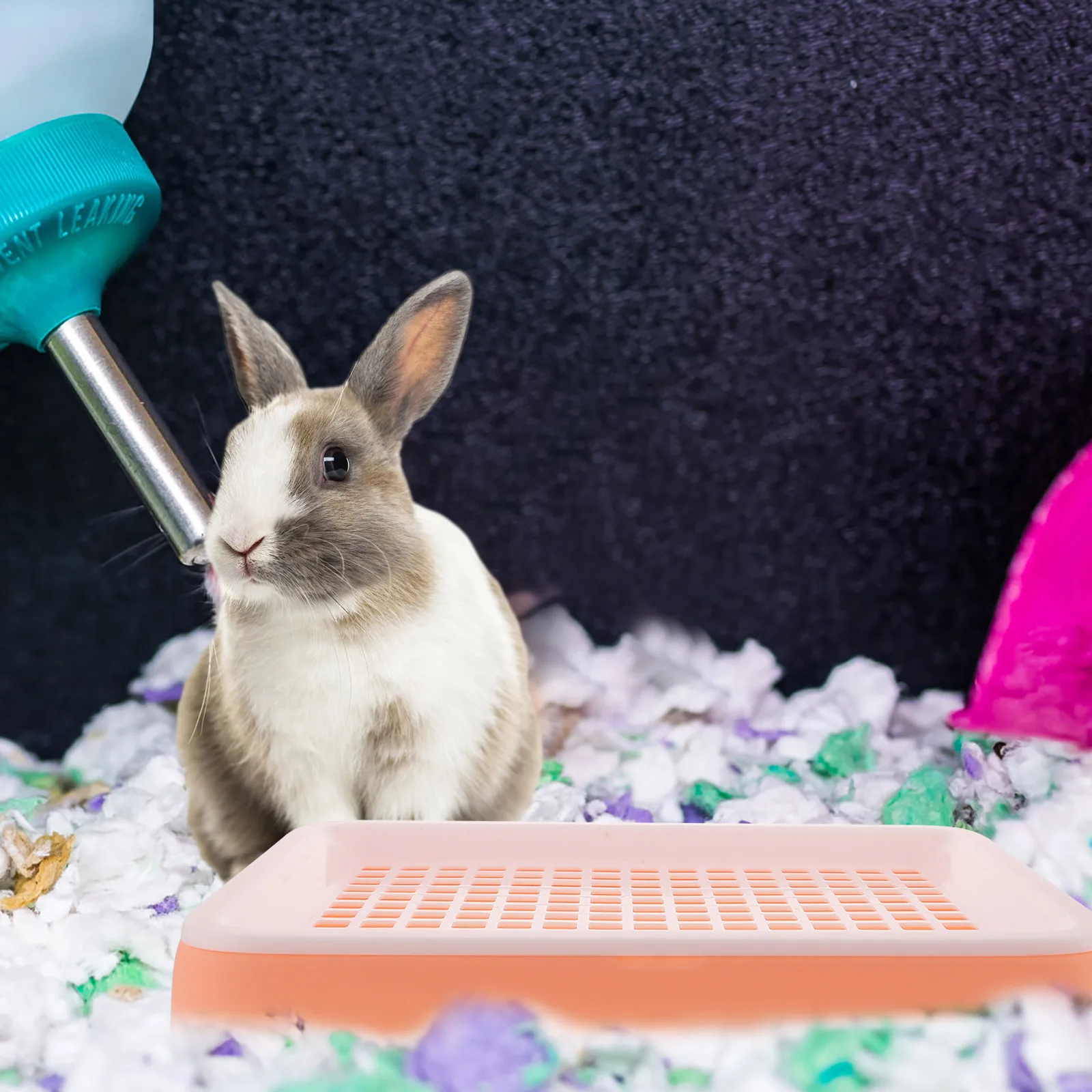 

Guinea Pig Litter Box Bunny Trainer Toilet Large Space Fixed Lock Plastic Pet Toilet Rabbit Litter Box Small Pet Cage Supply