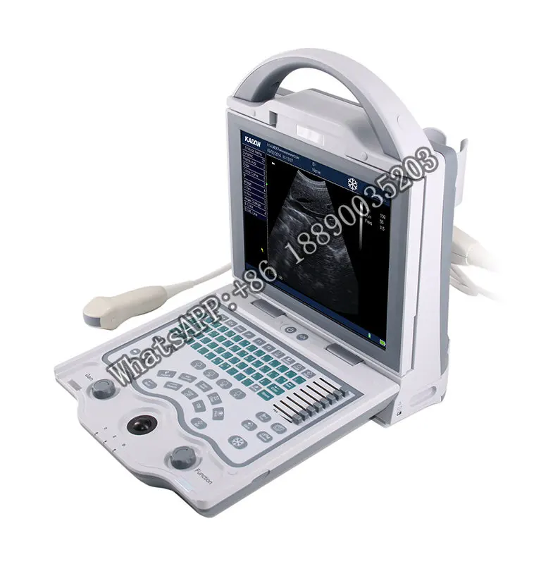 Low Cost Kaixin KX5600V portable veterinary ultrasound equipment for Pet clinic use