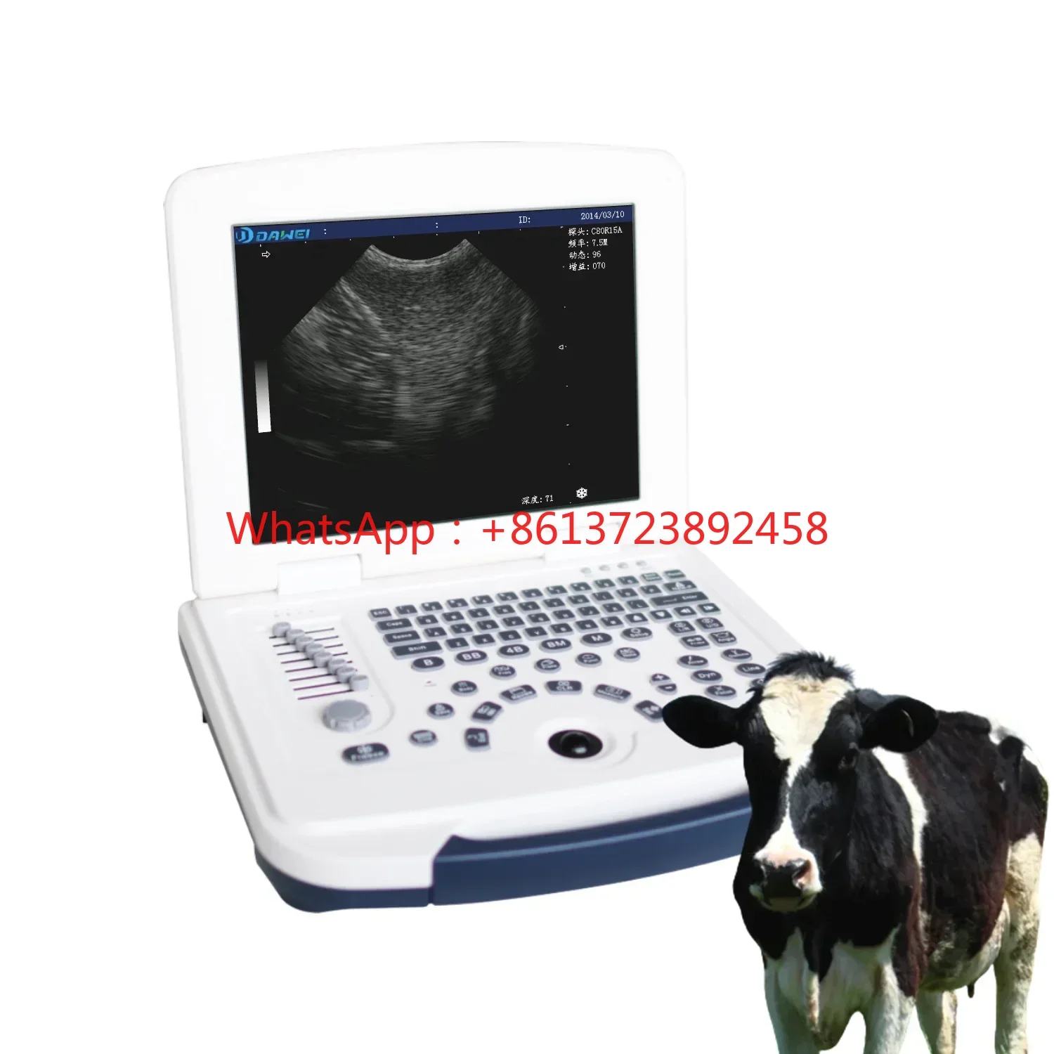 Vet Ultrasound Veterinary Ultrasound Portable Color Doppler Mindray Ultrasound Vet Machine