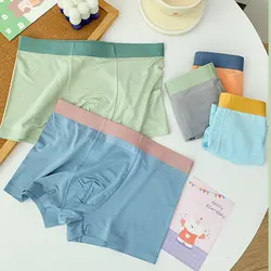 2 Pcs/lot Boys Underwear Spring Autumn Panties for Kids Comfortable Breathable Teenager Underpants Boxer Boys Clothes 5-18T